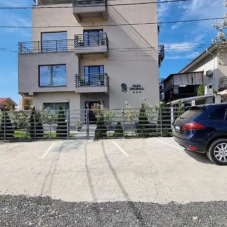 Casa Decebal Guest house *